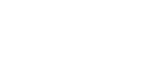 VRZHZ logo